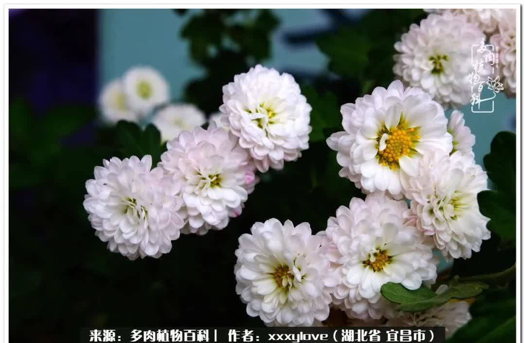 时光匆匆,一闪而逝,这世间万物的美,都值得被记录!