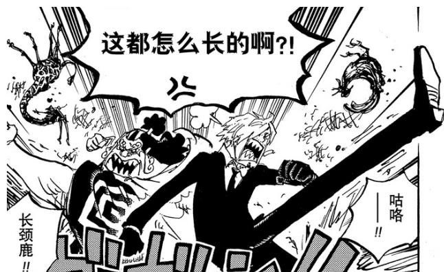 海贼王|海贼王996话：娜美和乌索普脱逃，大和vs佐佐木，罗发现历史本文