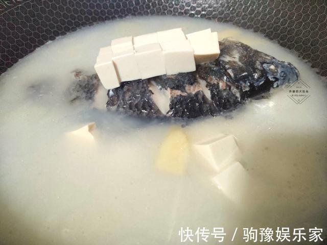 鱼身|鲫鱼汤怎么才能炖出牛奶白?原来下锅时间有讲究,做对了汤白味浓