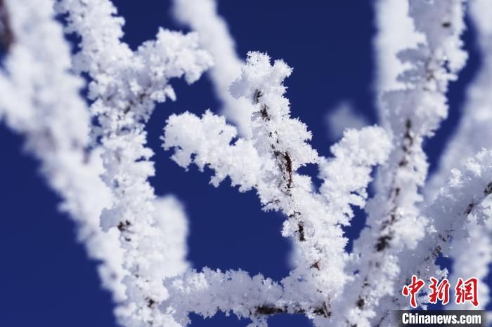 降雪|四川若尔盖：雪后雾凇若诗若画