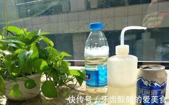 家里的3种垃圾不要扔，绿萝盆里用一点，再也不黄叶不烂根