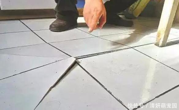 拖地时总闻到一股腥味,原因终于找到了