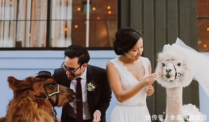 趣图:婚礼的时候一般会邀请什么人?嗯,草泥马伴娘没见过吧?