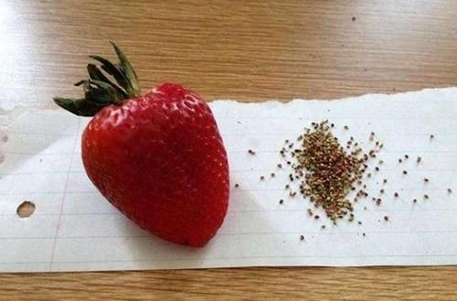 强迫症|你见过“强迫症”是如何吃东西的吗草莓要去籽,冷饮要压平