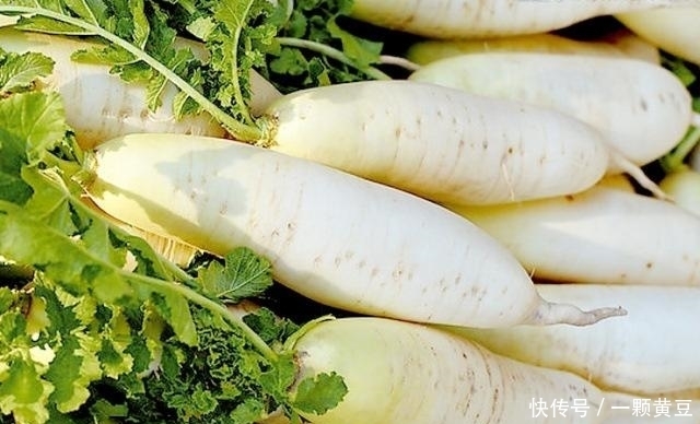 脂肪肝的“天敌”一直都在,每天吃一些,轻松刮油降肝脂