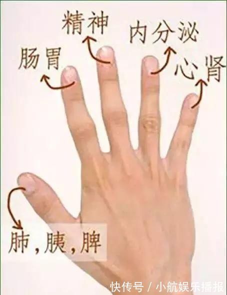心脏病|五指通全身,手指养生的秘密都在这里!值得一看!