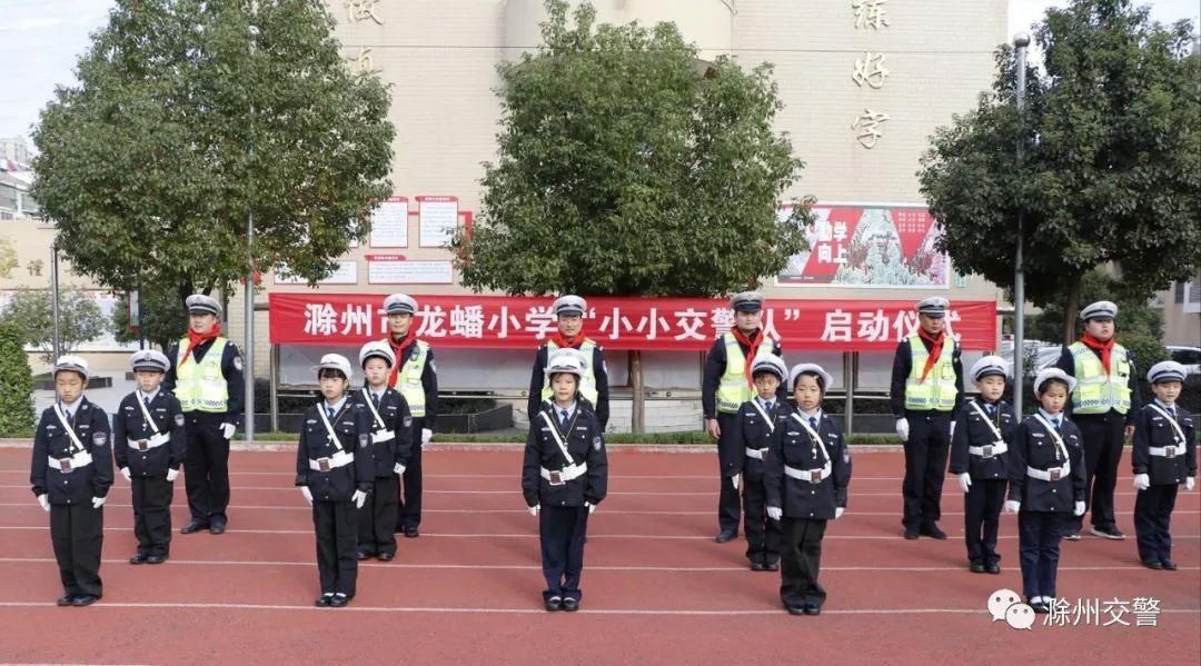 小学|交警支队为龙蟠小学“小小交警队”授旗