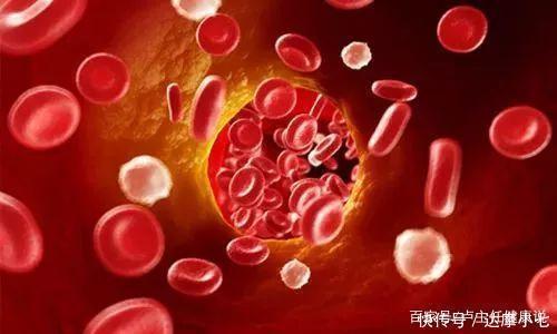 代表|脑供血不足,脸先知?脸上3个突出特征,代表血管已经撑不住了