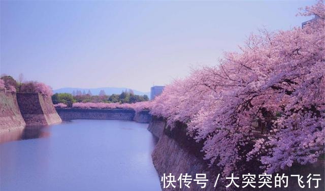 抗老 抗老成护肤行业新蓝海 SAKURA ST打造臻品绽放年轻风采!