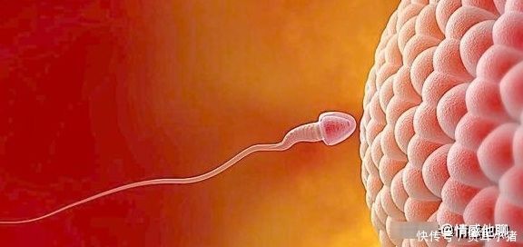 能不能怀孕,跟排卵期关系很大,经期不正常也能计算排卵期