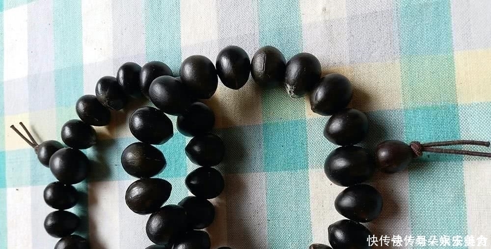 果肉|人称“鬼见愁”，长得酷似龙眼，果肉能当肥皂用，种子能做手链