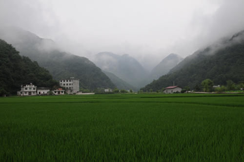 秦岭深处发现一个秘境小镇，到处青山绿水，人少景美好避暑！