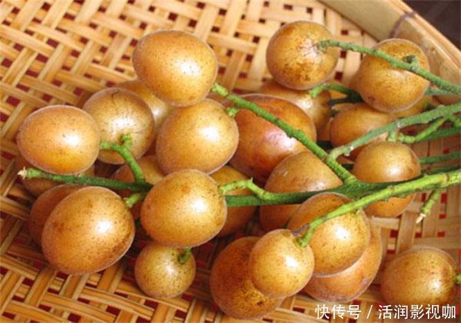 食物|八月养生正当时,女人多吃以下食物,补血养气,补充营养