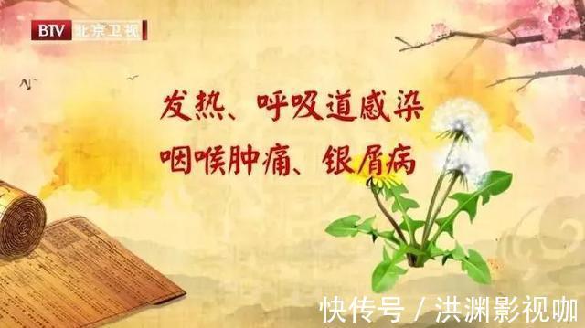 豌豆芽|春季肝气升发人易燥!吃好5个“养肝菜”,气血顺畅、疏肝解郁