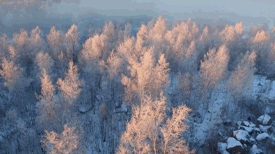 即使去过一万次东北，也可能错过的北国雾凇之都，还藏着非遗文化！