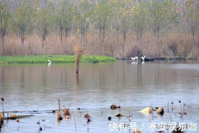 鱼类|野河钓鲫鱼,满足2个原则的钓位有7个,不用担心钓不到鱼