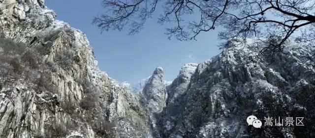 迎来|嵩山迎来冬日里的雪