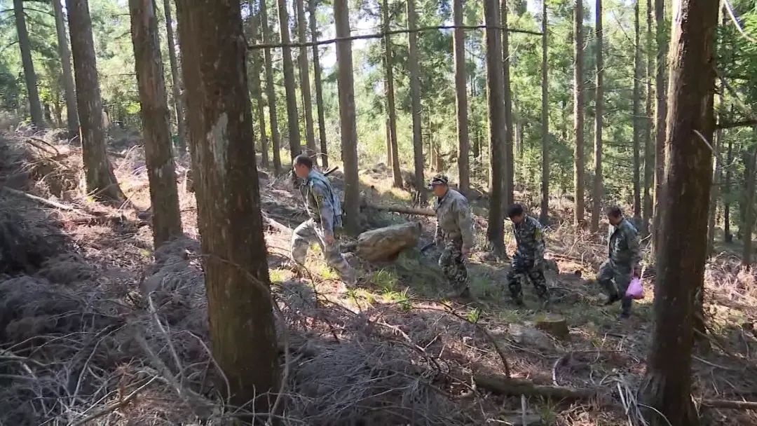 李锦华|李锦华：三十年逐梦为青山