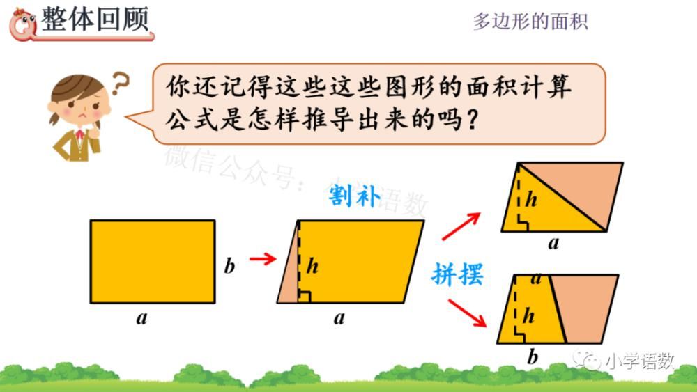 人教版五年级数学上册第6单元《整理和复习》课件及同步练习