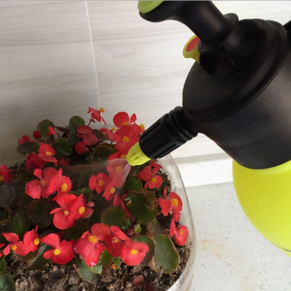 损伤|养花浇水有讲究,3个“手病”使不得,浇一盆死一盆