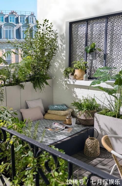 闲人|这样的阳台,那院子我也不换,美得太过分,今生只做个闲人了!