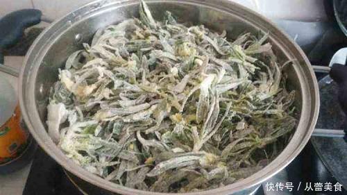 冬天种一盆野菜,掐着嫩芽吃,蒸着炒着怎么吃都鲜美