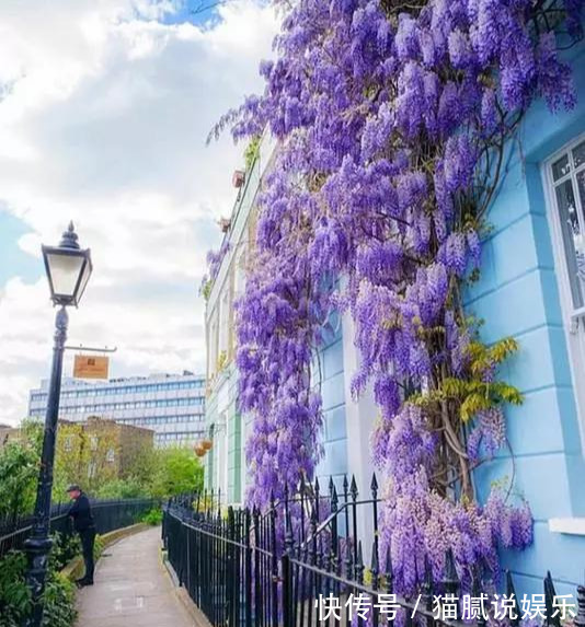 这9种花园,随便1个都美上天了,有一种这辈子就满足了!