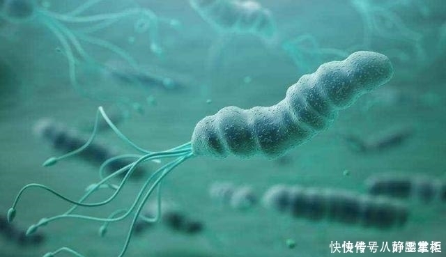 幽门螺杆菌怕1种水,你若爱喝,胃痛胃酸远离你,胃越来越好