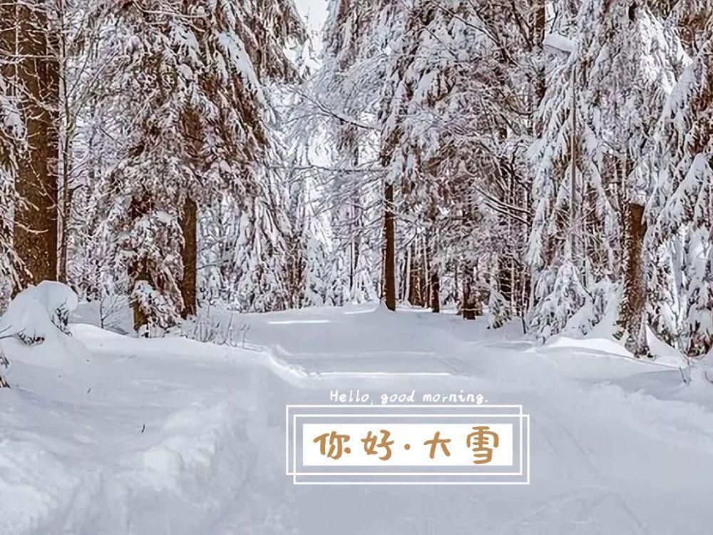  安康|今日大雪，愿君安康！