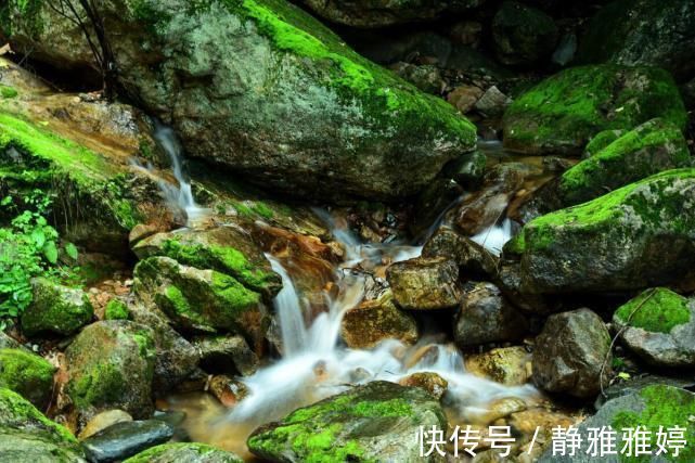 春天|冀晋两省交界处有一处赏春胜地，山顶酷似驼峰，还有云顶花海景观