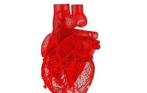 肾上腺激素|长寿的人,大多都有5个共同特征,占得越多离长寿越近,赶紧自测