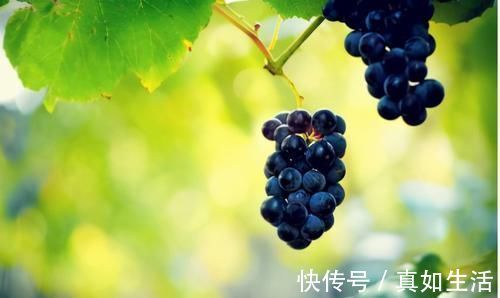 柑橘|每天晚上坚持吃3种食物,营养丰富、滋润肌肤,早吃早好!