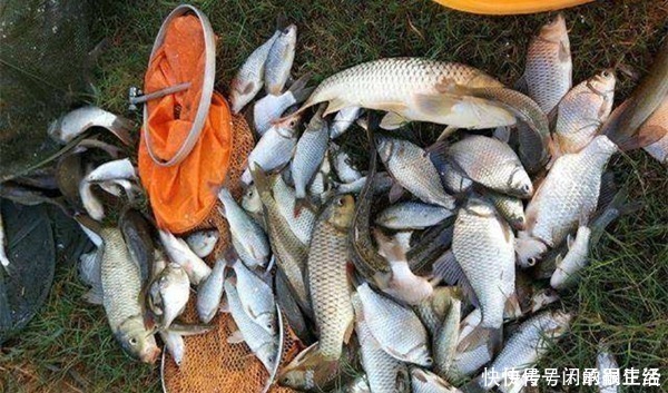 饵料|钓鱼调漂技巧：调四钓二，调五钓三，调二钓四，有哪些区别？