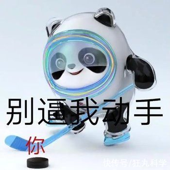 奥运会|为了拥有冰墩墩，多少人连夜对橘子下起了狠手？