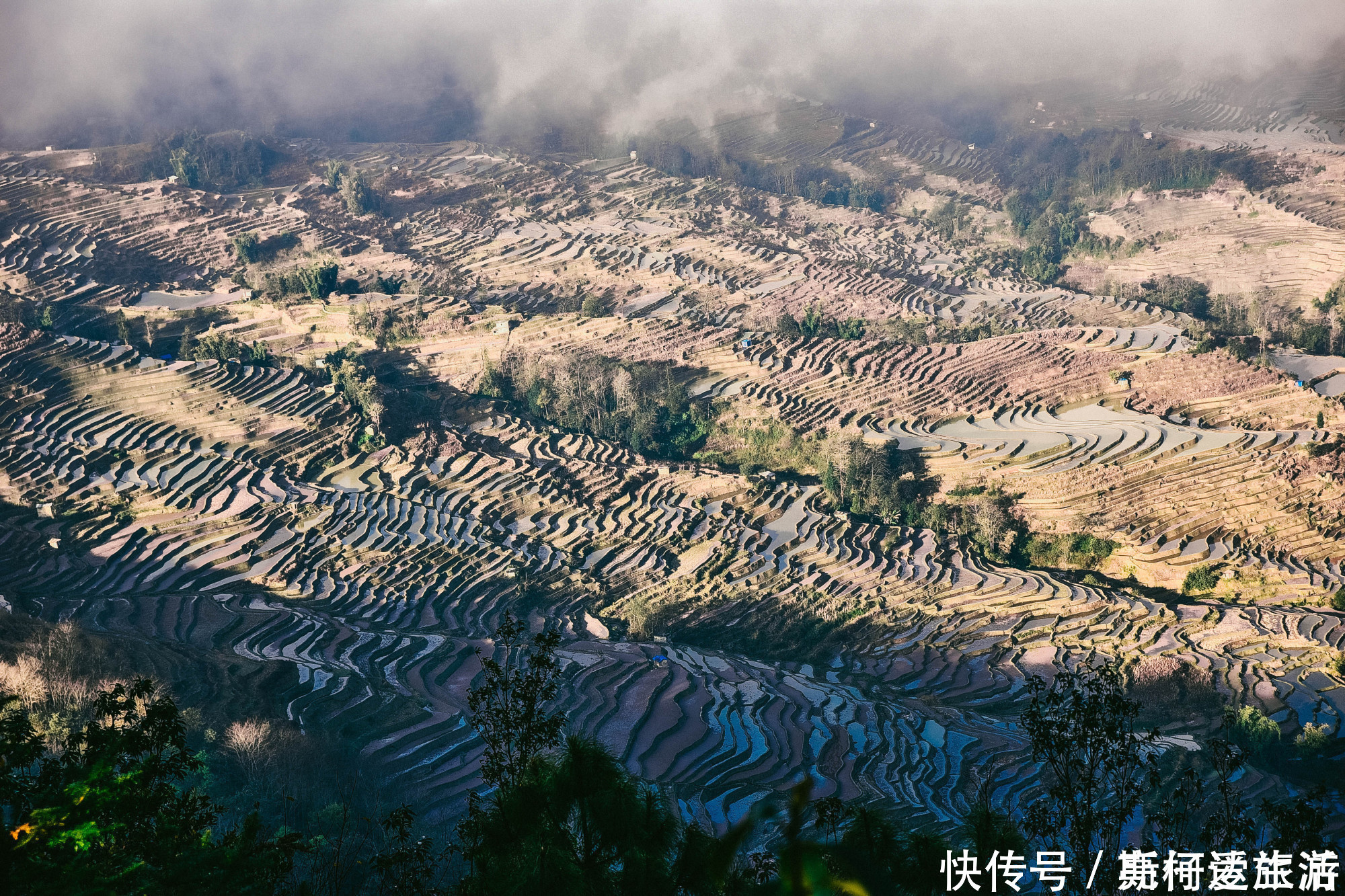 红河哈尼梯田|中国最大梯田，3700阶梯田像直插云海的天梯，游客：第一次见