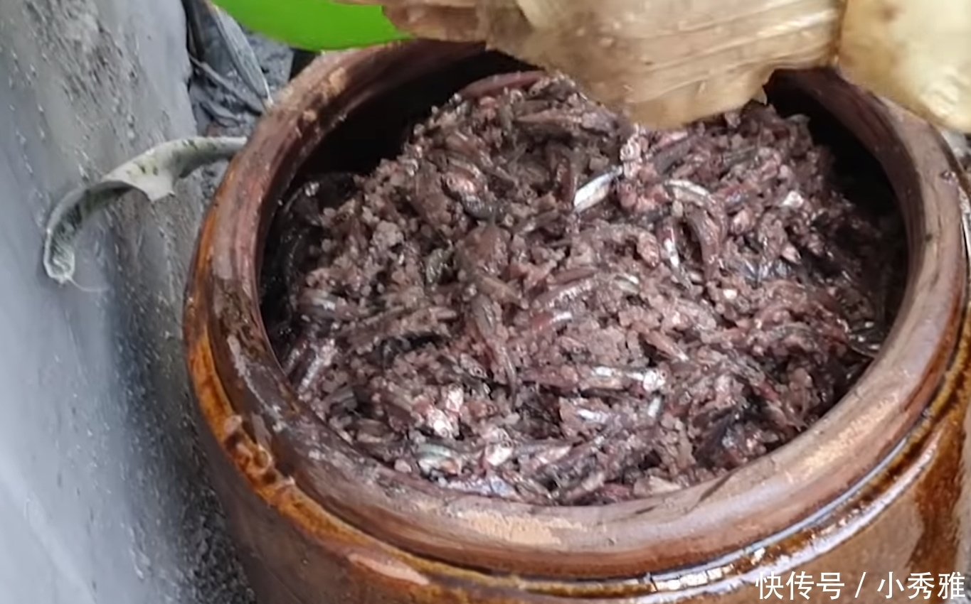 一家人|大婶把鱼扔进缸里,不杀也不洗,2个月后开缸一家人都吃“嗨”了