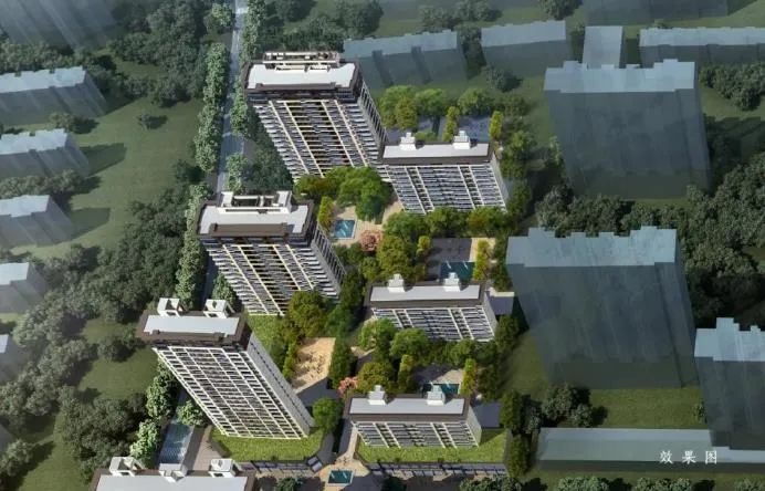 城区|最新！日照主城区土拍楼面地价排行榜前20名出炉