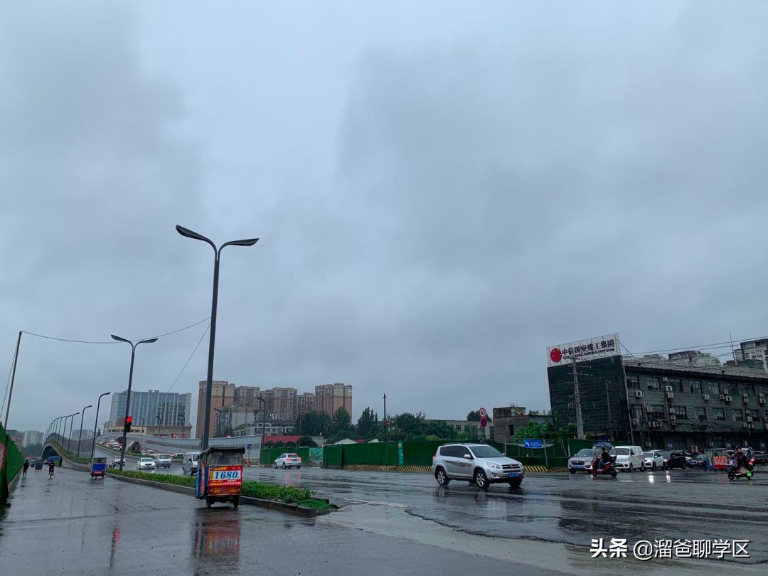 神仙树|大源北/攀成钢“升级”,神仙树“降级”…成都基准地价更新了