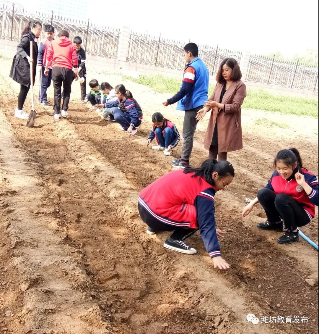 轮流|寿光市建桥学校｜建立实施学生轮流值日制度