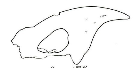 文化|北狄初论:从周人白狄论来谈陕北石峁遗址、黄帝文化及其鹰崇拜