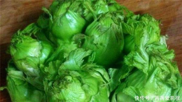 营养|南方“独有”的3种蔬菜,美味又营养,北方人想吃未必能买到