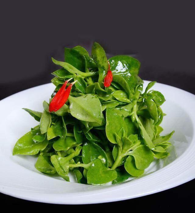 盆栽牡丹吊兰,2种养法,勤人“养成菜”,懒人“花爆盆”