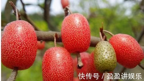 冬天|冬天，多吃以下3种食物，清热排毒，补中益气，早吃早好