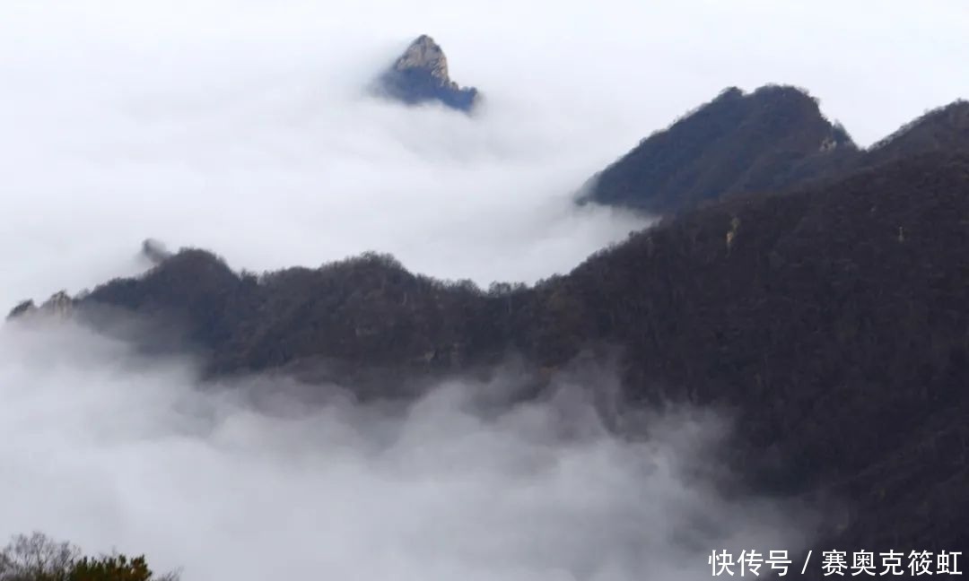 北国风光，雪域驼梁