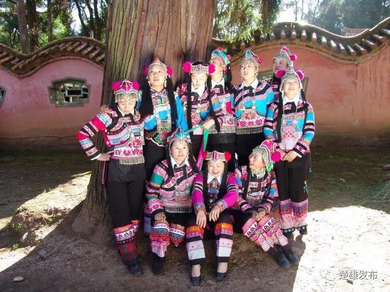  经典|武定彝绣：绽放在布匹上的经典