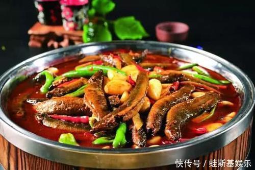 测试|最新老年痴呆测试来袭:海豚里有一个棉花糖,30秒找到的都是高手