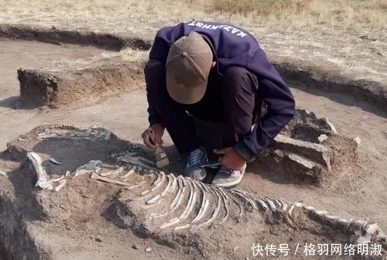 中亚|中亚出土古墓,考古学家感叹:这才是爱情,他们拥抱4000年