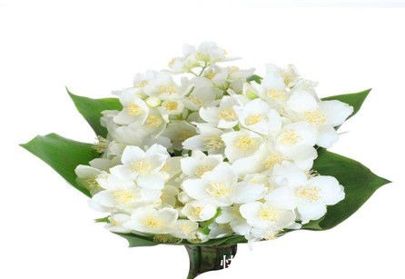 食物|女性过了40岁,坚持常吃的食物,改善肤质,补充营养、滋补身体