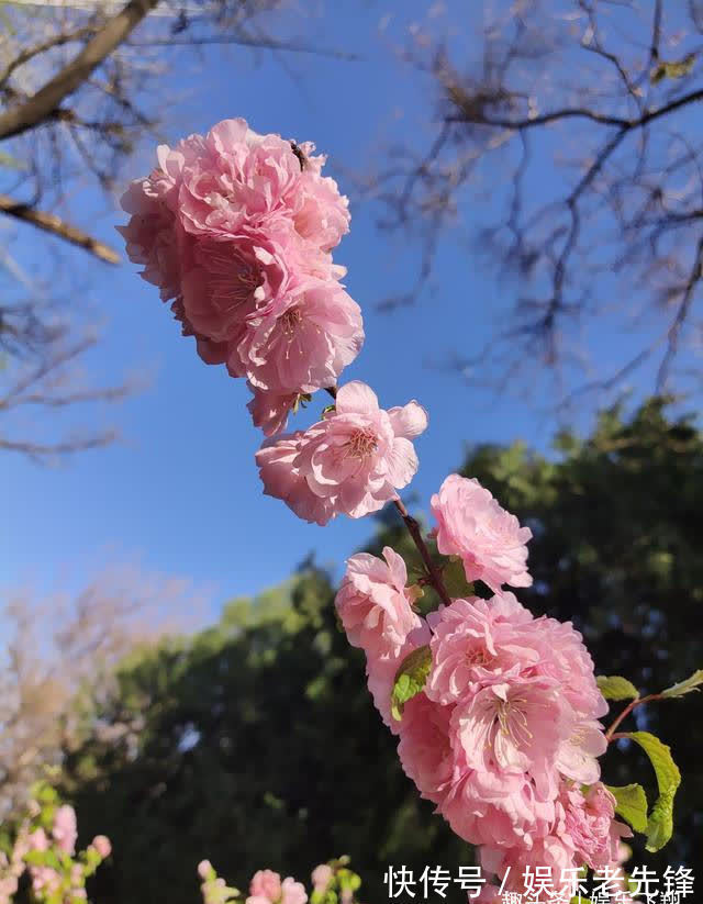 恩宠|命运牵线，邂逅桃花，恩宠相随，终于有所结果