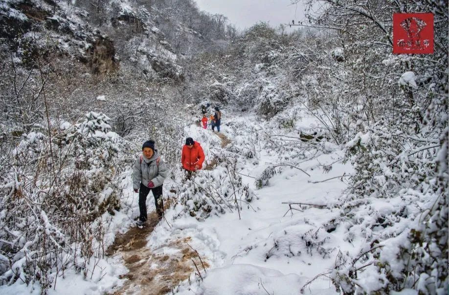 扫雪除冰|以雪为令！比雪更美的“风景”在这里……